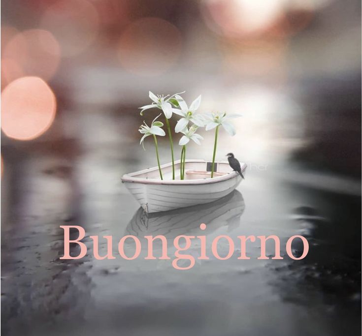 lunedi buongiorno immagini nuove