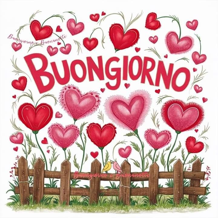 martedi immagini buongiorno nuovissimi