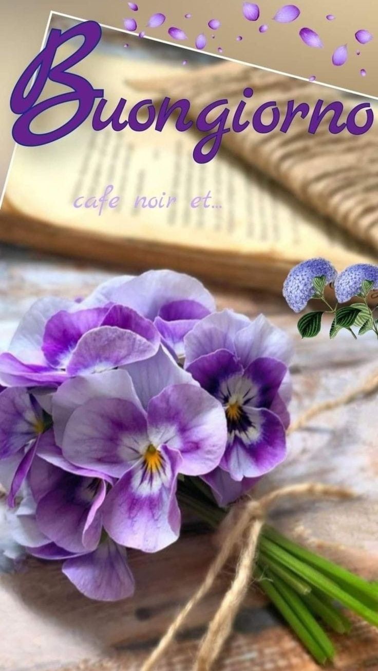 nuovissimo 100 immagini buongiorno