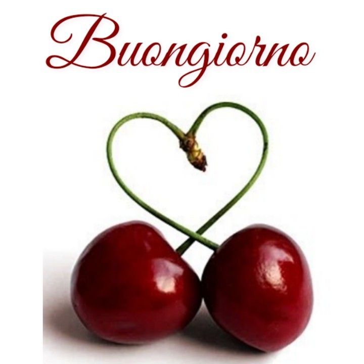 nuovissimo buon giorno nuovissimi nuovissimo buongiorno immagini recenti