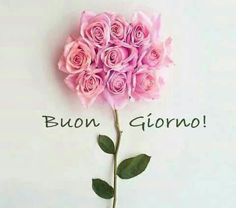 originali nuovissimo buongiorno immagini recenti