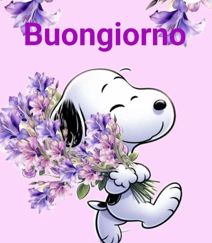 speciale buongiorno buon lunedi